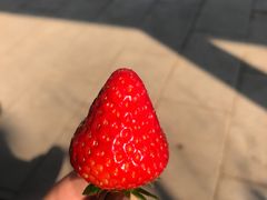 -普迪生态园