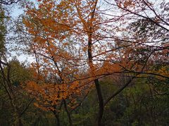 -白马涧龙池景区