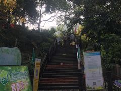 -天鹿湖森林公园
