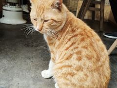 -悟饮门市景店