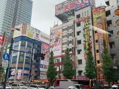 -秋叶原电器街