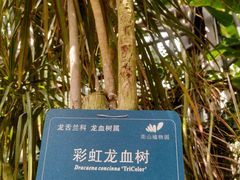 -南山植物园