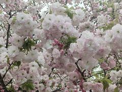 -广富林郊野公园