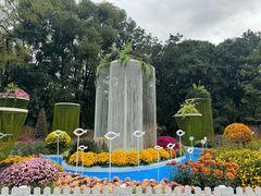 -上海共青森林公园