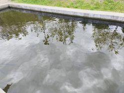 -青龙渔业旅游景区