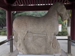 -茂陵博物馆