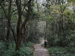 -岳麓山风景名胜区