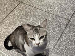 -谜盒子奇幻密室(南屏店)