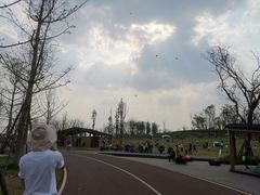 -白鹭湾湿地公园