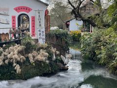 -西溪国家湿地公园