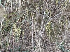 -东天目山风景区