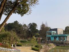 -铁山坪森林公园