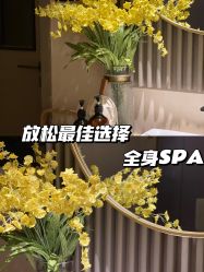 -8SPA养愈空间·新中式疗愈spa