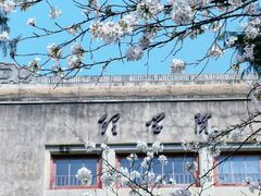 -武汉大学-樱园