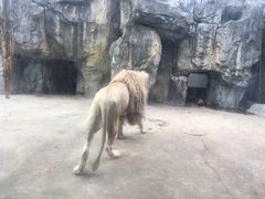 -南昌动物园