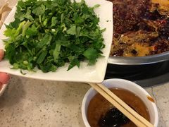 -朱氏胖子烂火锅(洪崖洞店)
