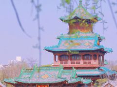 -迎泽公园