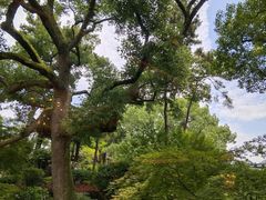 -浙江西子宾馆·瑶园咖啡厅