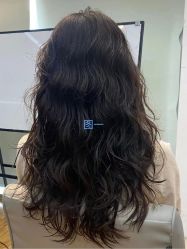 -东方麒麟·潘多拉SALON