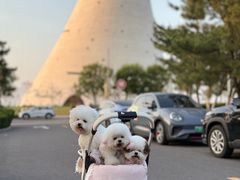 -养马岛旅游度假区
