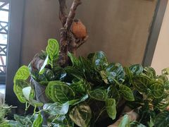 -湘当爱·鲜煮现炒(松岗立业路店)