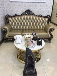 -圣婕美甲美睫皮肤管理