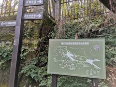 -南山植物园