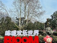 -红梅公园