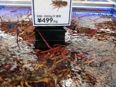 -盒马X会员店(上海森兰商都店)