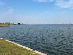 -漕湖湿地公园