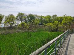 -西湖风景区-江洋畈生态公园