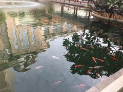 -番禺宾馆丽苑厅