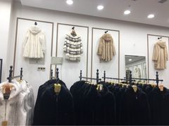 -肃宁华斯国际裘皮城