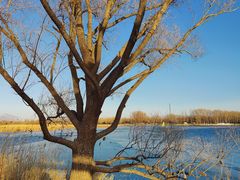 -野鸭湖国家湿地公园