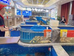 -骏莱海鲜鱼港(五角场店)