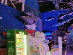-烟台海昌鲸鲨海洋公园