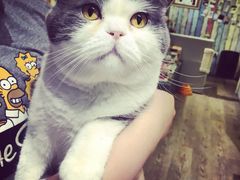 -小时光咖啡馆(开森度假森林店)