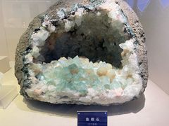 -安徽省地质博物馆