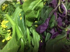 血皮菜与菜心-北京清河镇农副产品交易市场中心