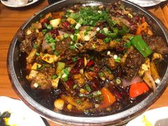 -老号尤兔头(幸福店)