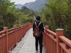 -佛山市三水区大南山森林公园