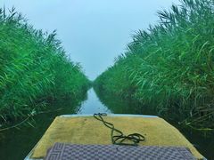 -白洋淀景区