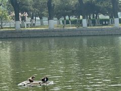 -中国农业博物馆