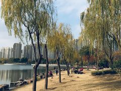 -南翔镇银翔湖公园