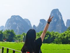 -明仕田园