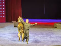 -珠海横琴长隆《卡卡虎奇遇记》