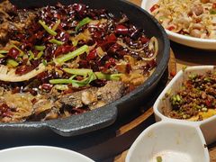 -老板恋上鱼(恒隆广场店)