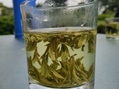 -龙坞茶村
