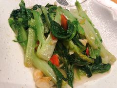 -美食小镇·观赏珍稀鸟类·长隆熊猫酒店