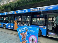 -帕帕拉兹宠物(亚洲旗舰店)